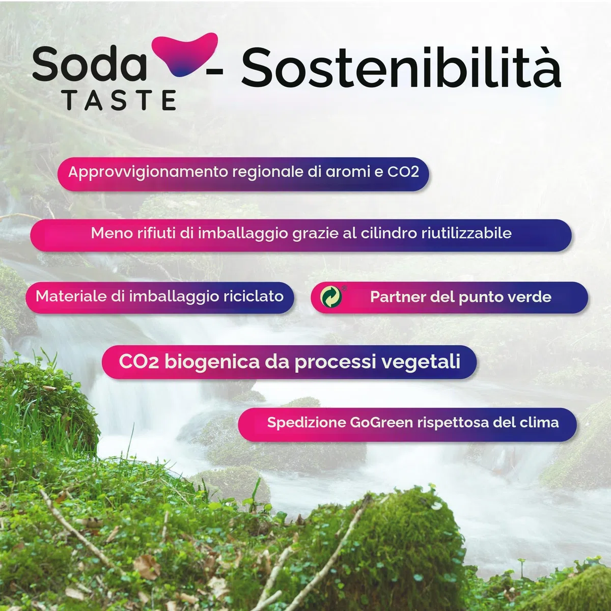 SodaTASTE Quick Classic - Set di 4 cilindri a CO2 (ricarica) per aeratori con sistema Quick Connect, per acqua frizzata fino a 240 l (attenzione: cilindro vuoto necessario)